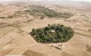 Церковные леса стали оазисами жизни в Эфиопии