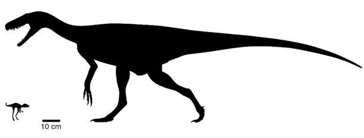 Предок динозавров