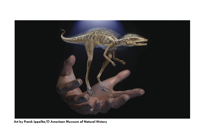 Предок динозавров - конгонафон