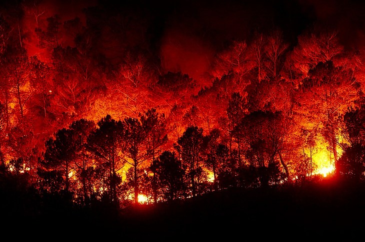 Лесные пожары на Западном побережье в США — вид из космоса